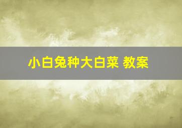 小白兔种大白菜 教案